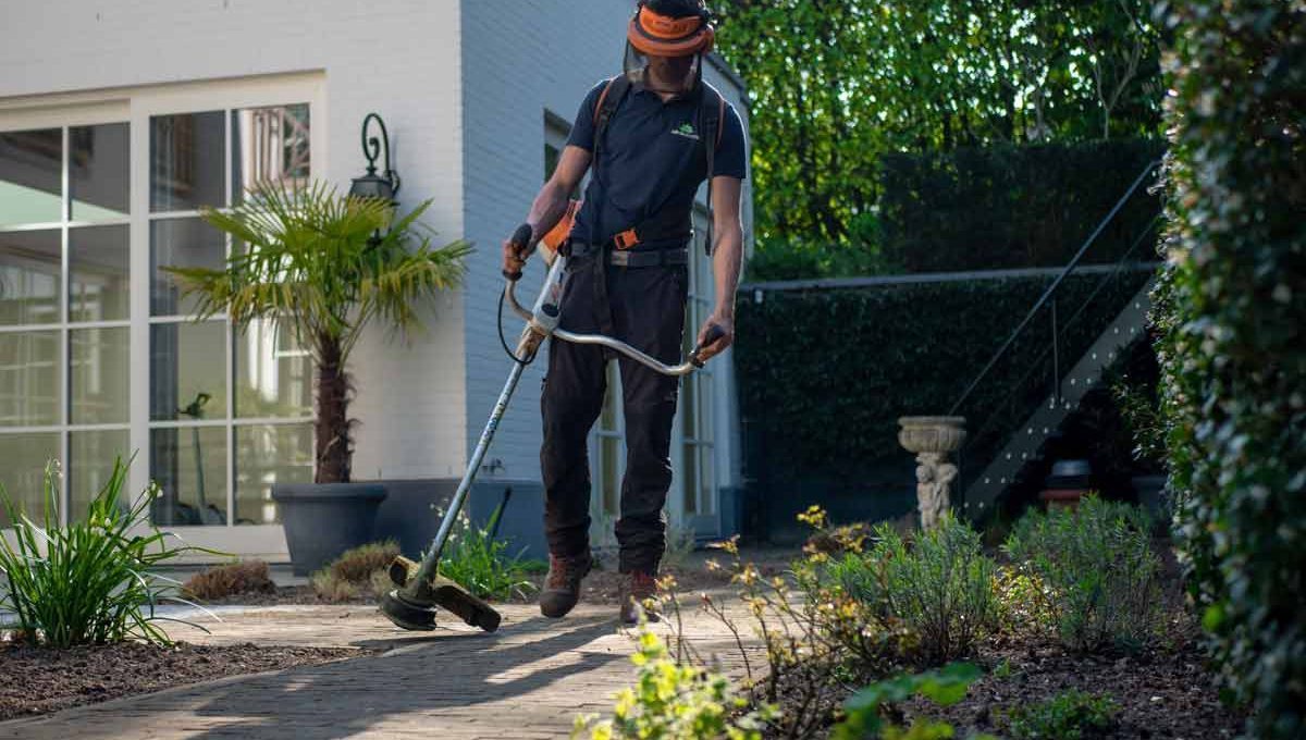 Cómo preparar tu jardín para primavera
