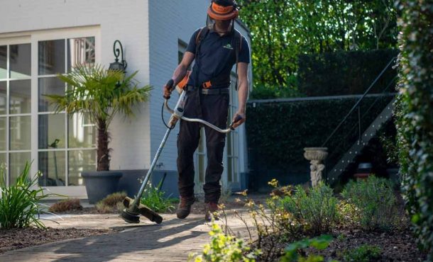 Cómo preparar tu jardín para primavera