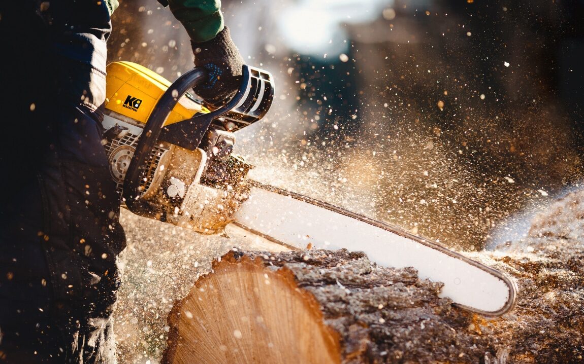 ¿Cómo derribar un árbol con una motosierra?