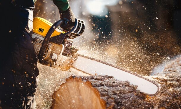 ¿Cómo derribar un árbol con una motosierra?