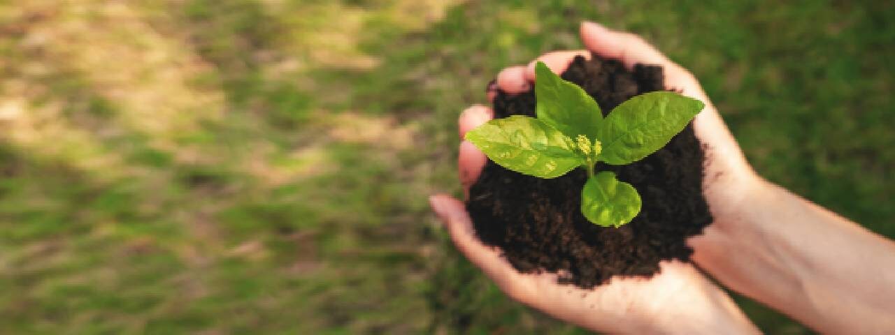 Alquilar su equipo de construcción como parte de una iniciativa ambiental con Kiloutou