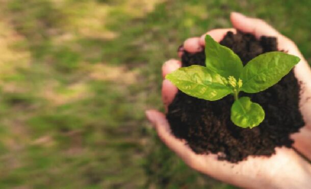 Alquilar su equipo de construcción como parte de una iniciativa ambiental con Kiloutou