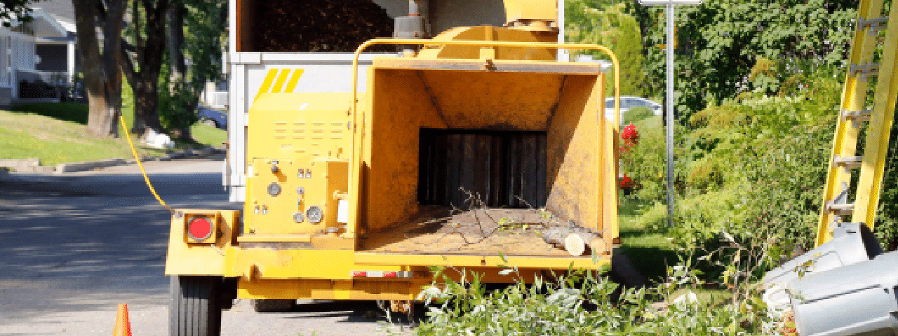 ¿Cómo elegir una astilladora de ramas y vegetales?