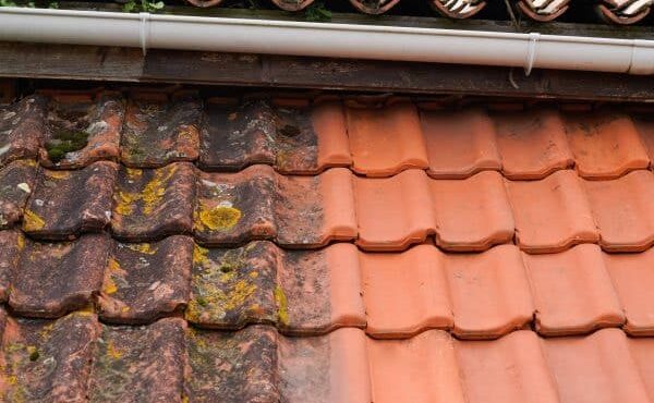 Desarreglo y tratamiento de techos: lo que necesitas saber