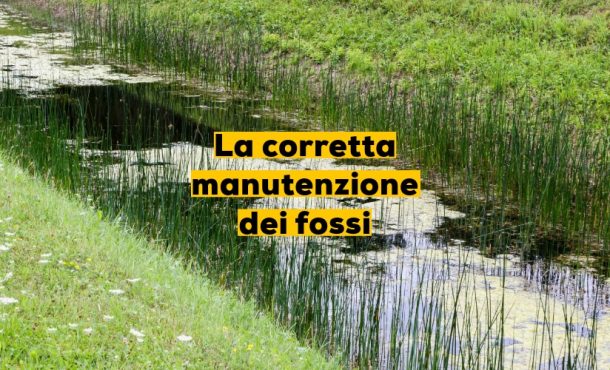 La corretta manutenzione dei fossi
