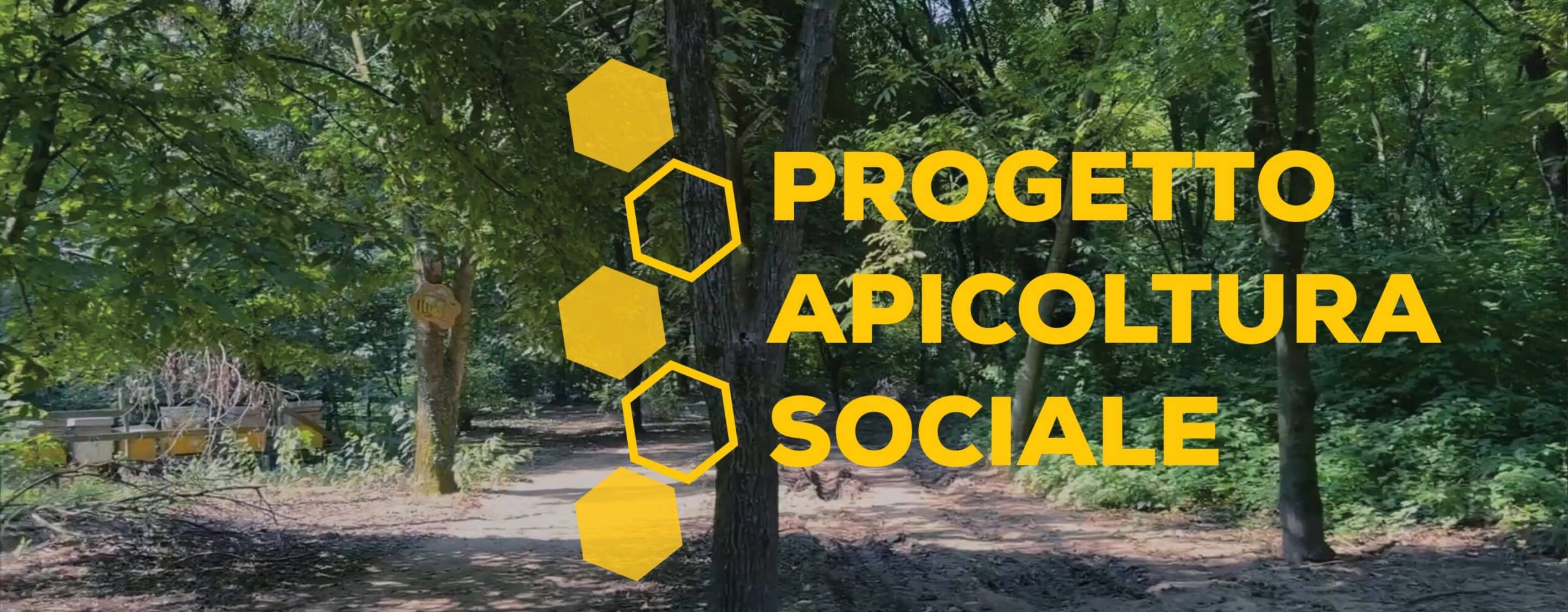 Sostenibilità e inclusione: la partnership di Kiloutou per l’apicoltura sociale
