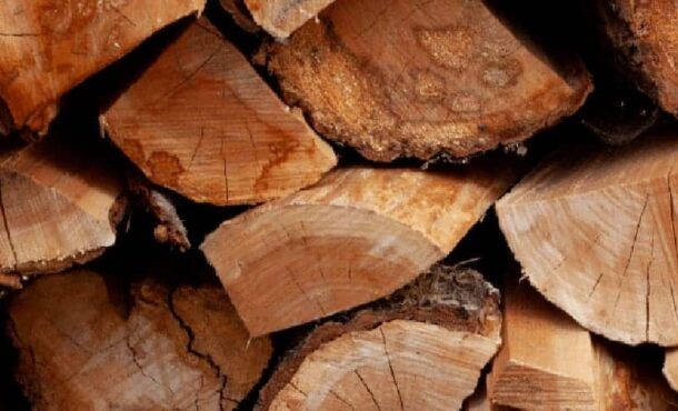 Jaka łuparka do drewna?