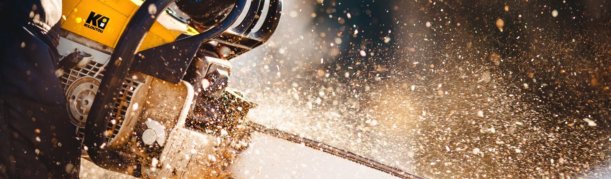 Pilarka łańcuchowa i podkrzesywarka elektryczne